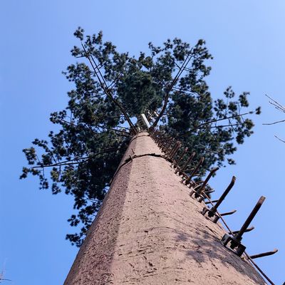 Télécommunication artificielle Q345 Monopoles en acier d'arbres
