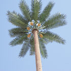 30 mètres de GM/M de palmier de camouflage de tour de cellules