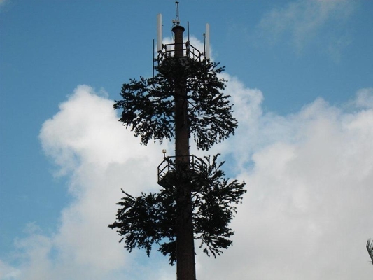 Tour de cellules de camouflage du pin 50m pour la télécommunication